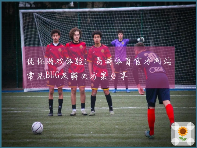 优化游戏体验：易游体育官方网站常见BUG及解决方案分享