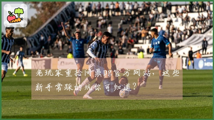 老玩家重拾问鼎pg官方网站，这些新手常踩的坑你可知道？